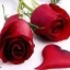 Jasmin24 avatar