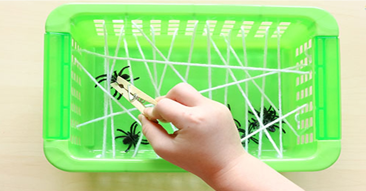 Catch A Spider