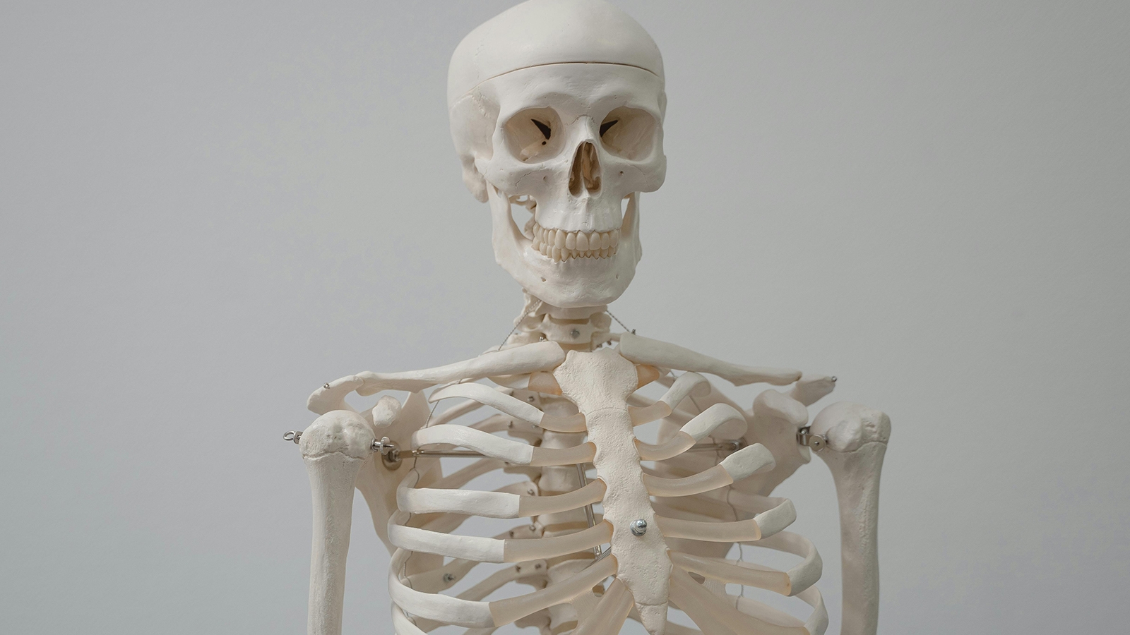 Dem Bones