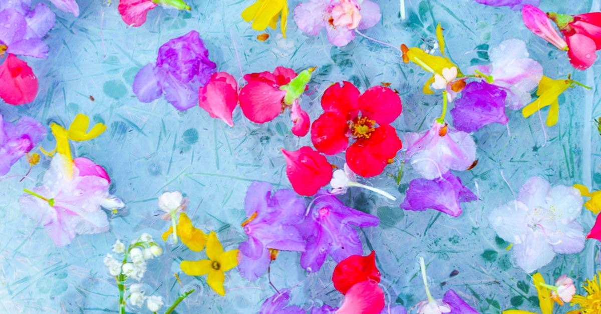 Flower Petal Water Play