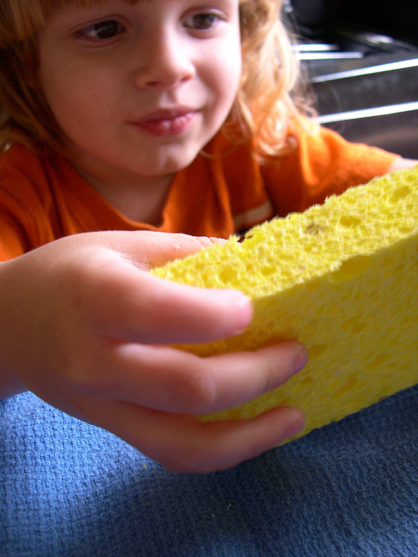 Sponge Targets