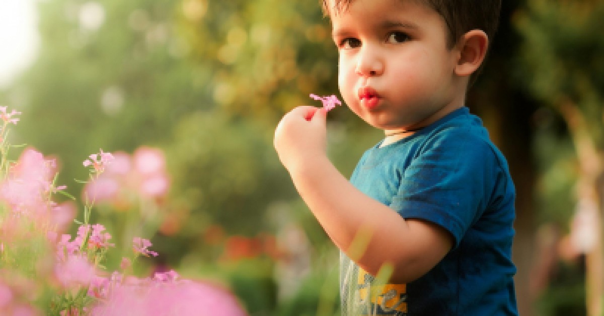 Caring for Country in the Playground