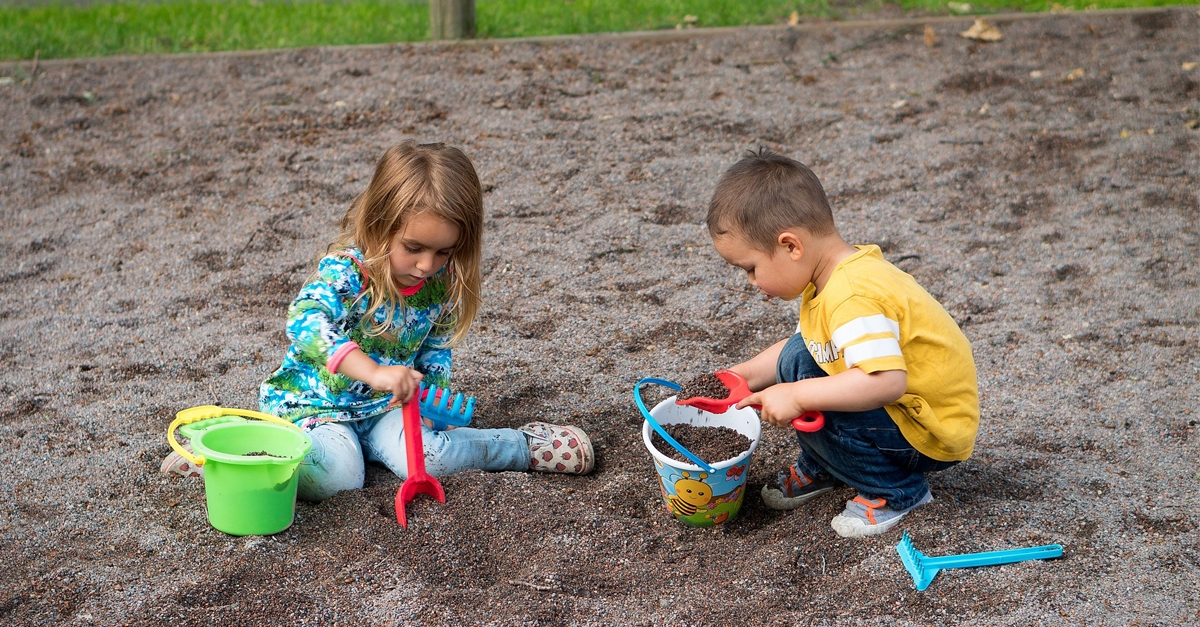 Educators' Role In Play