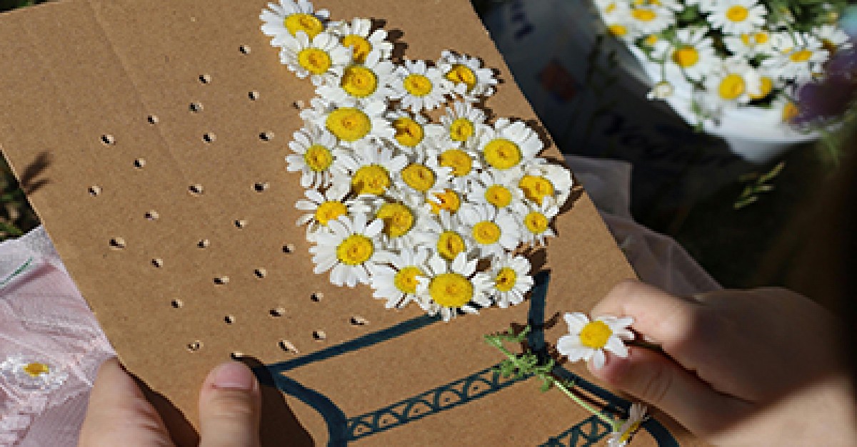 Hands-on Sustainability Projects For Kids