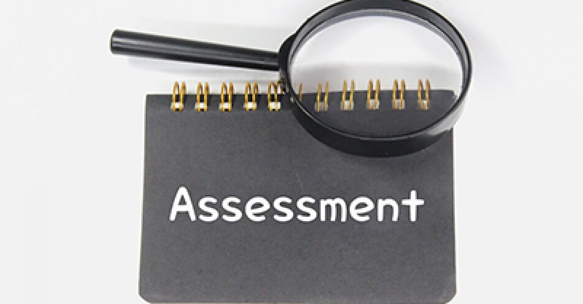 Preparing for Assessment and Rating: What Assessors Typically Look For