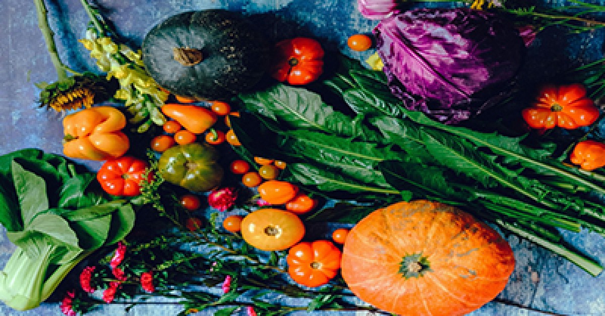 Simple, Quick & Tasty Vegetarian Recipes for Young Children