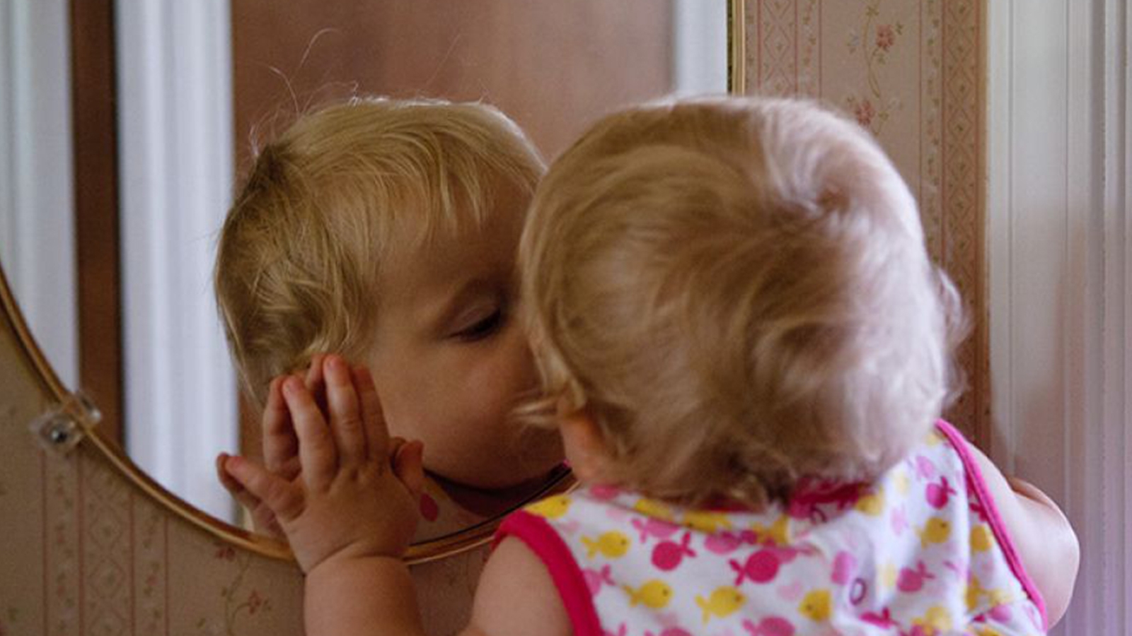 Social and Emotional Development for Babies 12-24 months