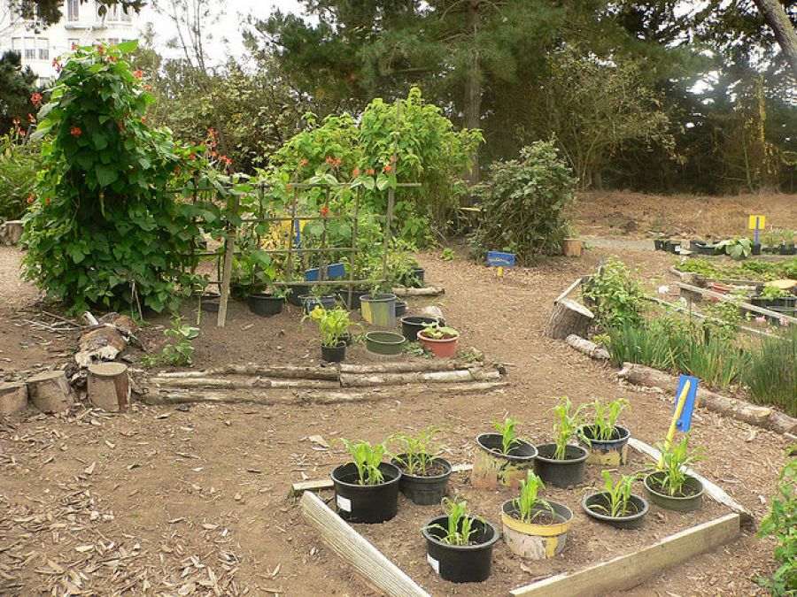 Sustainability Practices in Childcare