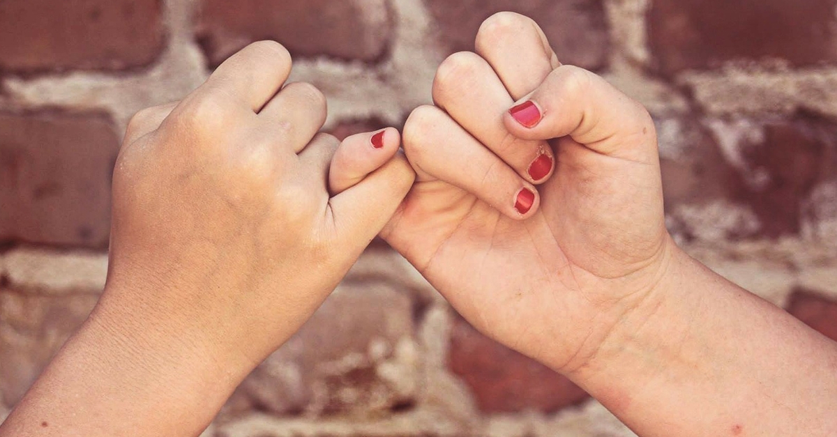 The Kindness Curriculum