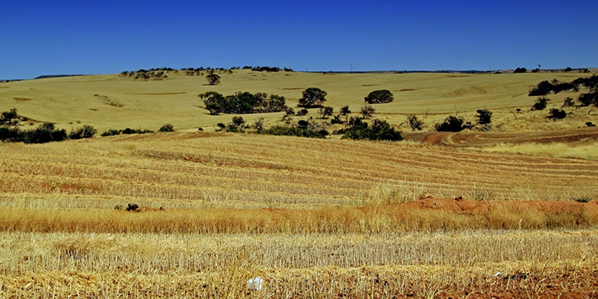 $50,000 Bonus Offered To Victoria Qualified Teachers To Relocate To Rural Victoria