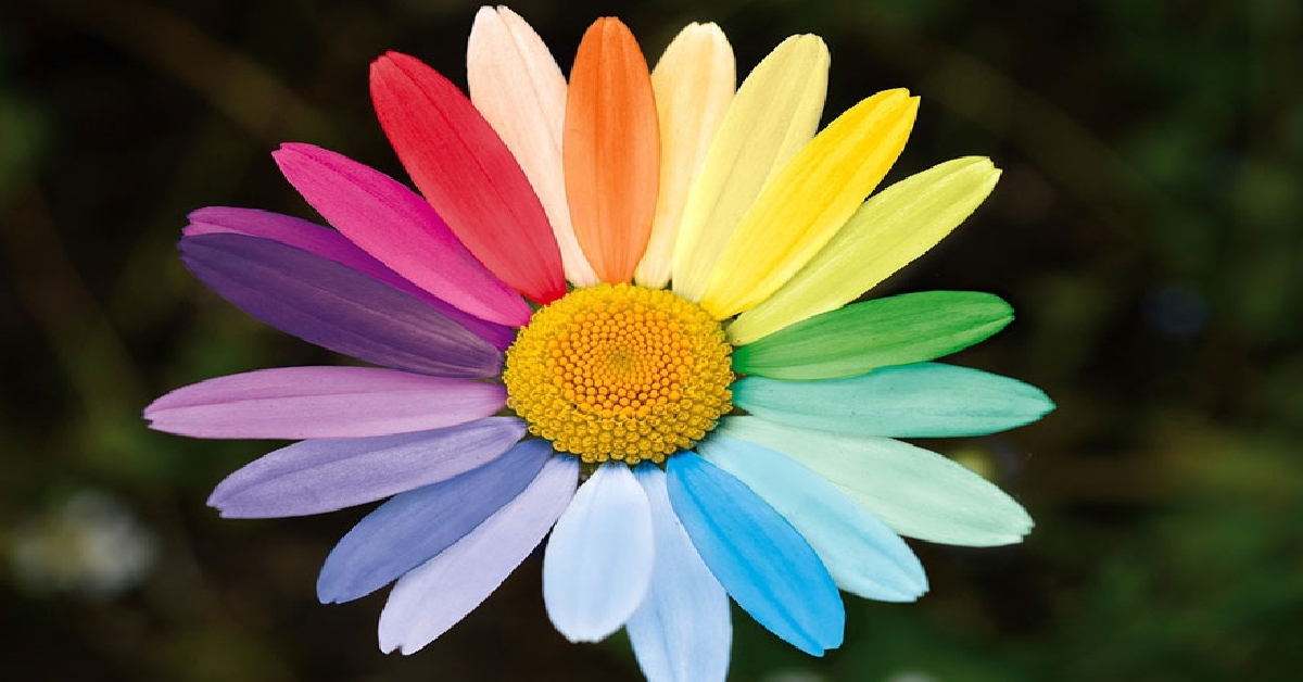 Australian Parents Support Sexual Diversity Education In School