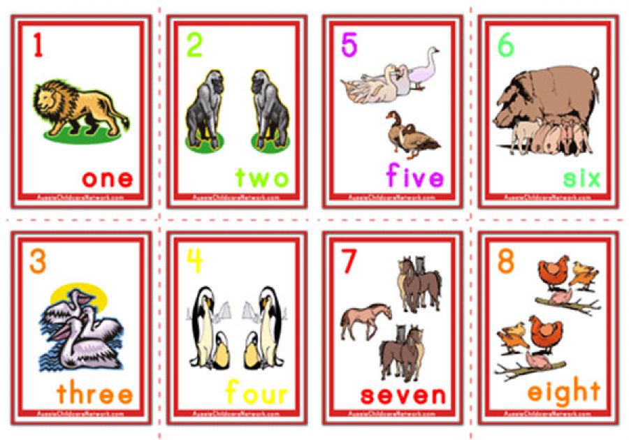 Counting Numbers Flashcards - Animals