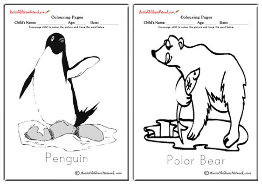 Polar Animals Colouring Pages