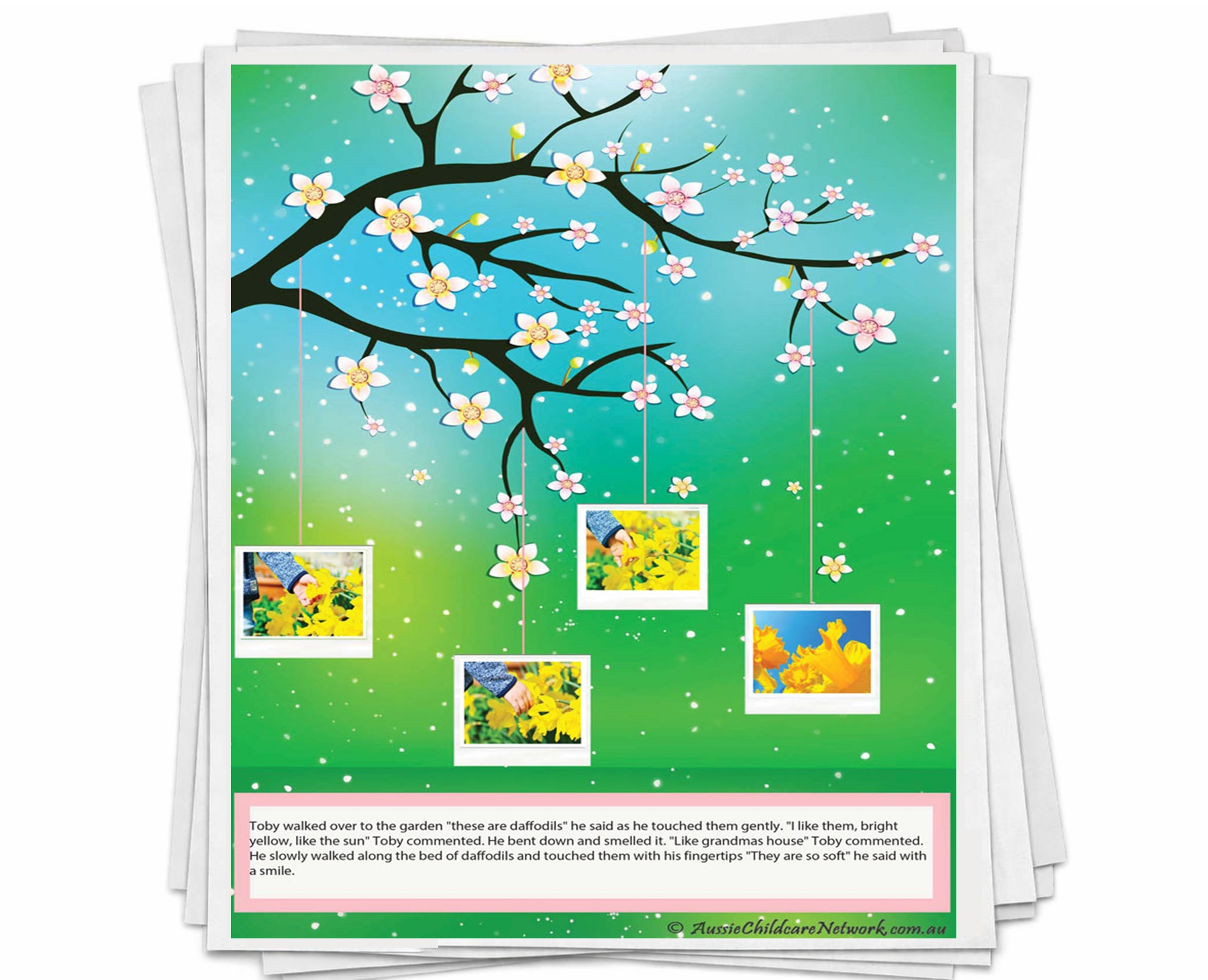 Photo Blossoms