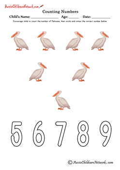 counting numbers worksheet