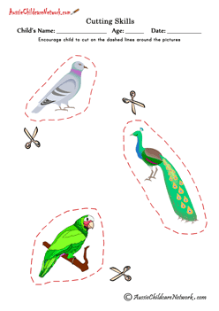 Cutting pictures of birds