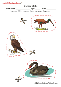 pre school cutting birds pictures