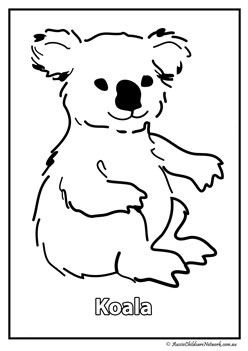 koala australian animal colouring pages colouring worksheets