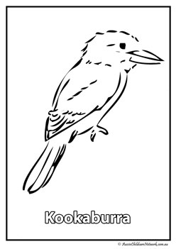kookaburra australian animal colouring pages colouring worksheets