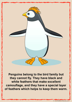 Penguin Information Posters for children classroom displays penguin facts posters penguin awareness