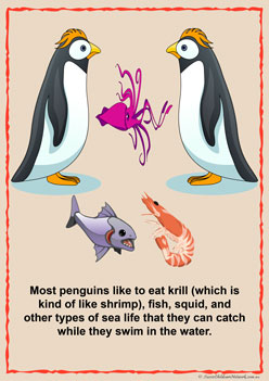 Penguin Information Posters for children classroom displays penguin facts posters penguin awareness