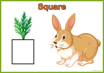 Bunny Shapes Mat 10