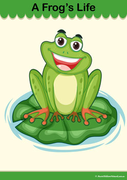 Lifecycle Frog Info Poster 1, frogs