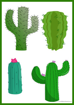 Cactus Shadow Match 14, shadow matching pdf