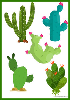 Cactus Shadow Match 15, shape shadow matching