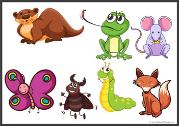 Animal Shadow Matching 13, animal shadow matching worksheet