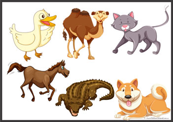 Animal Shadow Matching 17, preschool shadow matching