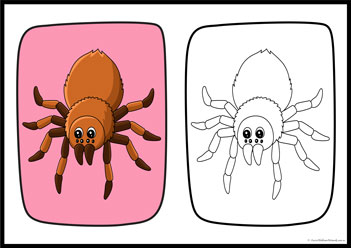 Matching Colours Colouring Pages 10, matching colours