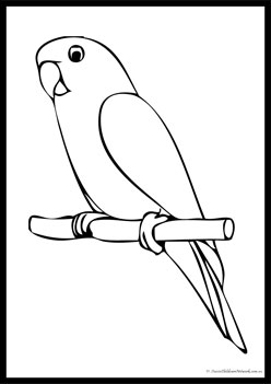 Pet Colouring Pages Parrot