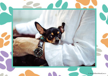 Veterinary Hospital Poster 1