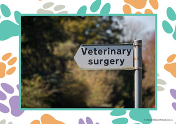 Veterinary Hospital Poster 22