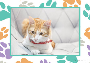 Veterinary Hospital Poster 23