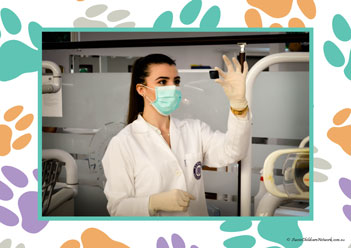 Veterinary Hospital Poster 24