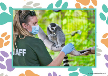 Veterinary Hospital Poster 25