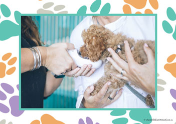 Veterinary Hospital Poster 26