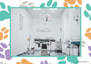 Veterinary Hospital Poster 27
