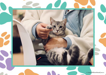 Veterinary Hospital Poster 28