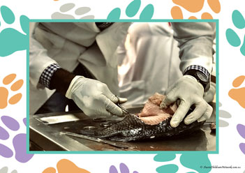 Veterinary Hospital Poster 4