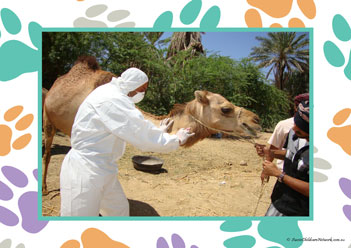 Veterinary Hospital Poster 6