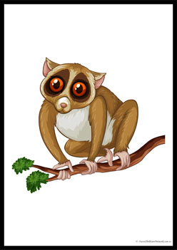 Wild Animals Poster 10