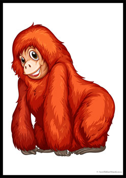 Wild Animals Poster 2