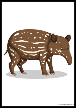 Wild Animals Poster 20