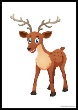 Wild Animals Poster 24