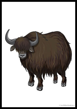 Wild Animals Poster 6