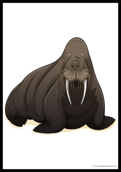 Wild Animals Poster 7