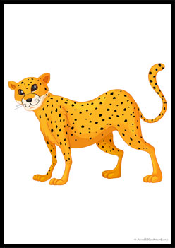 Wild Animals Poster 8